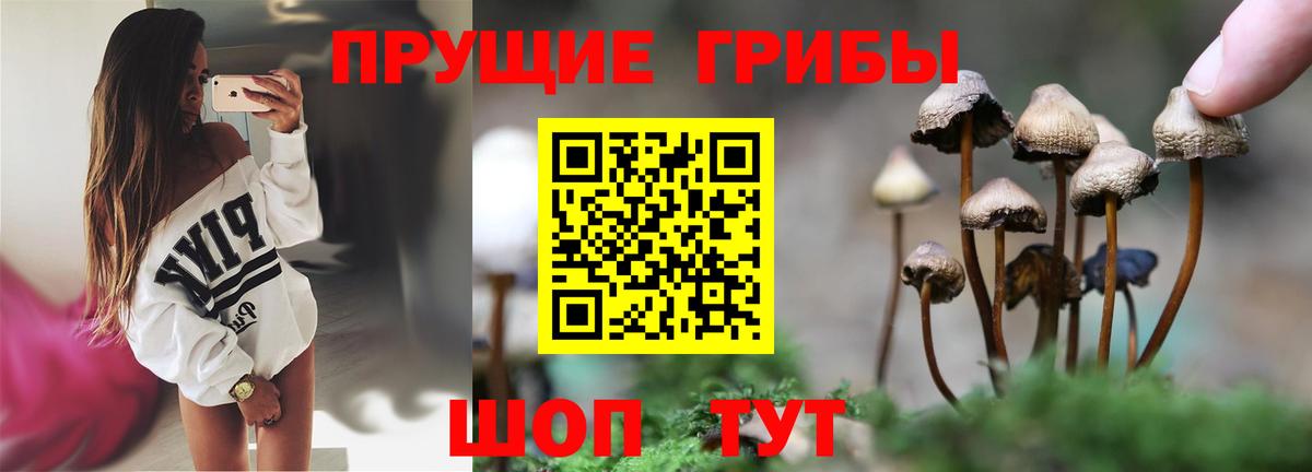 Барнаул  Псилоцибиновые грибы MAGIC MUSHROOMS  Вход с VPN 