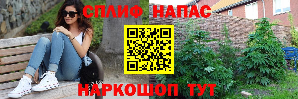 Бошки Шишки план  Шишки марихуана тримм  Барнаул  Конопля семена  Вход с VPN 